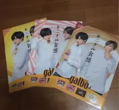 ガルボ ふまけん クリアファイル 3種類セット