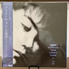 フェイ・ウォン（王菲／王靖雯）『Everything』日本盤 LPレコード フェイ・ウォン（王菲／王靖雯）『Everything』日本盤 LPレコード