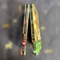 Item thumbnail for item 49649bbc-b35b-4fd4-96cd-87503684a08e