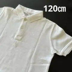 Burberry ホワイト 半袖　ポロシャツ120A お受験