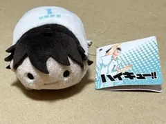 新品未使用 ハイキュー!! 及川徹 のるキャラマスコット 2個セット Amazon.co.jp: ハイキュー!! 及川徹 のるキャラ マスコット 森 Ver