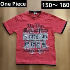 One Piece ワンピース アニメキャラクター 半袖Tシャツ 160 150のサムネイル
