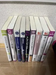 小説まとめ売りBL 2026年12/31まで出品