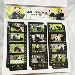 アドベンチャーワールド　永明　桜浜　桃浜　ステッカーセット