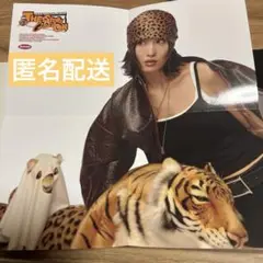twice ten: the story goes on ポスター　モモ