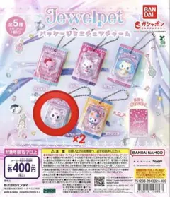 ジュエルペット パッケージミニチュアチャーム ラブラ - メルカリ