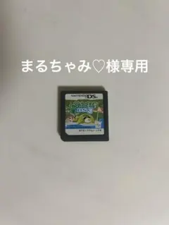 まるちゃみ♡様専用