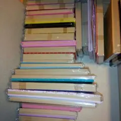 【まとめ買い大歓迎♬】ピチレモン、ニコ☆プチ