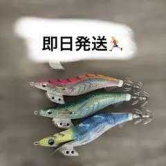 エギ王k まとめ売りのサムネイル
