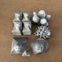 アザラシの腕の骨セット - メルカリ