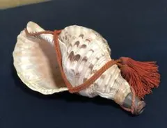 2026年最新】ホラガイの人気アイテム - メルカリ