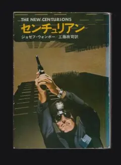 B-1ジョルジュ・ルオー 受難 パッシオン 限定900部 岩波書店 - メルカリ