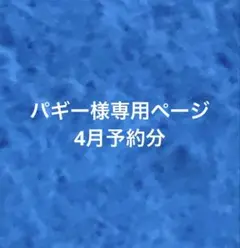 パギー様専用ページ　フェルトお守り