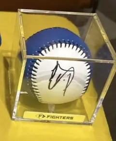 2025年最新】伊藤大海 サインボールの人気アイテム - メルカリ