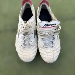 MIZUNO モレリアネオ3 27センチ