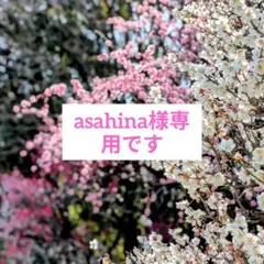 オカピ様 オ―ダ―窓口 ハ―バリウム お供え 仏花 - メルカリ
