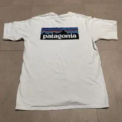 Patagonia パタゴニア　半袖　tシャツ　白　ホワイト　ロゴ　M