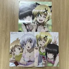 戦姫絶唱シンフォギア ピンナップ2枚セット