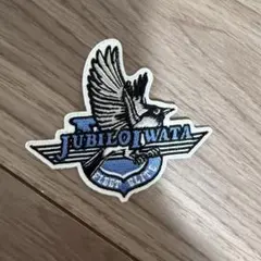 ジュビロ磐田 刺繍ワッペン