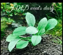 なつみ様 リクエスト 3点 まとめ商品