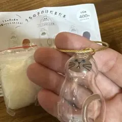 うちの子のけだまだま　シャム