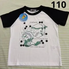 Item thumbnail for item a74fa2f3-d46d-40f6-bb98-9270edadde62