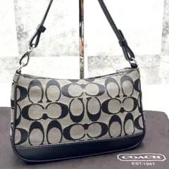 コーチ シグネチャー Y2K ワンショルダー ハンドバッグ アクセサリーポーチ