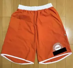 Item thumbnail for item 7f13d845-5265-40ad-910d-9a7a49bf0ec1