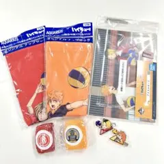 ハイキュー‼︎ 【日向翔陽＆孤爪研磨】　④種セット