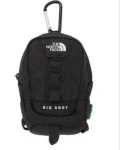 THE NORTH FACE ノースフェイス bigshot ポーチ 韓国限定
