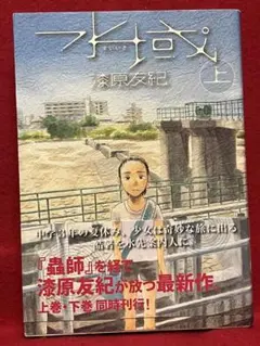 漆原友紀 水域 上巻下巻 - メルカリ