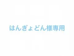 はんぎょどん様専用