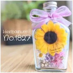 海花セール❣️海花★バラエティセット　ハーバリウム花材　1104-D 海花セール❣️海花☆バラエティセット ハーバリウム花材 1104-D