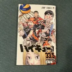 ハイキュー!! 33.5巻 音駒番外編!!