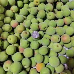 セール品【山形産の青梅1キロ】のサムネイル