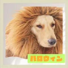 ベリー様 リクエスト 2点 まとめ商品