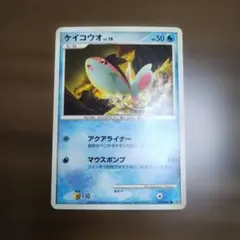 ケイコウオ 019/092　2008年 Kagemaru Himenoのサムネイル