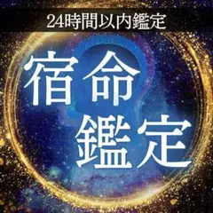【即日鑑定】宿命鑑定 霊視 占い 才能 天命 魂の使命 生まれた意味 人生の目的