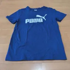 PUMA 青 Tシャツ 11-12Y