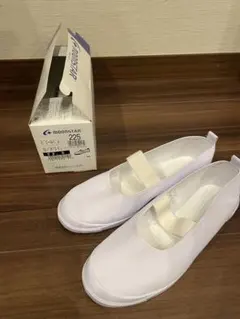 moonstar 上履き 22.5㎝