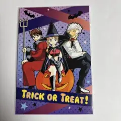 銀魂　ポストカード