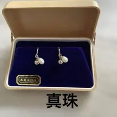TASAKI タサキ 本真珠 アコヤ真珠 約6mm SV925 箱付 保証書 - メルカリ