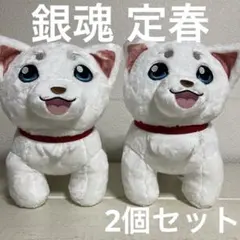 2026年最新】銀魂 定春 ぬいぐるみの人気アイテム - メルカリ