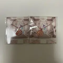 専用ページ