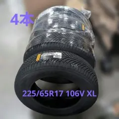 PIRELL オールシーズン 225/65R17 106V XLのサムネイル