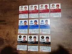 2024プロ野球チップス第一弾 58種セット