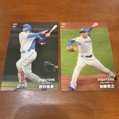 プロ野球トレーディングカードセット　北海道日本ハムファイターズ