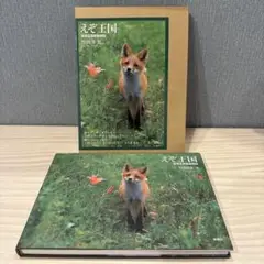 えぞ王国 : 写真北海道動物記