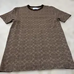 ▪️コーチ coach 総柄 シグネチャー モノグラム Tシャツ リンガーT