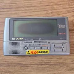2025年最新】fv-l2の人気アイテム - メルカリ